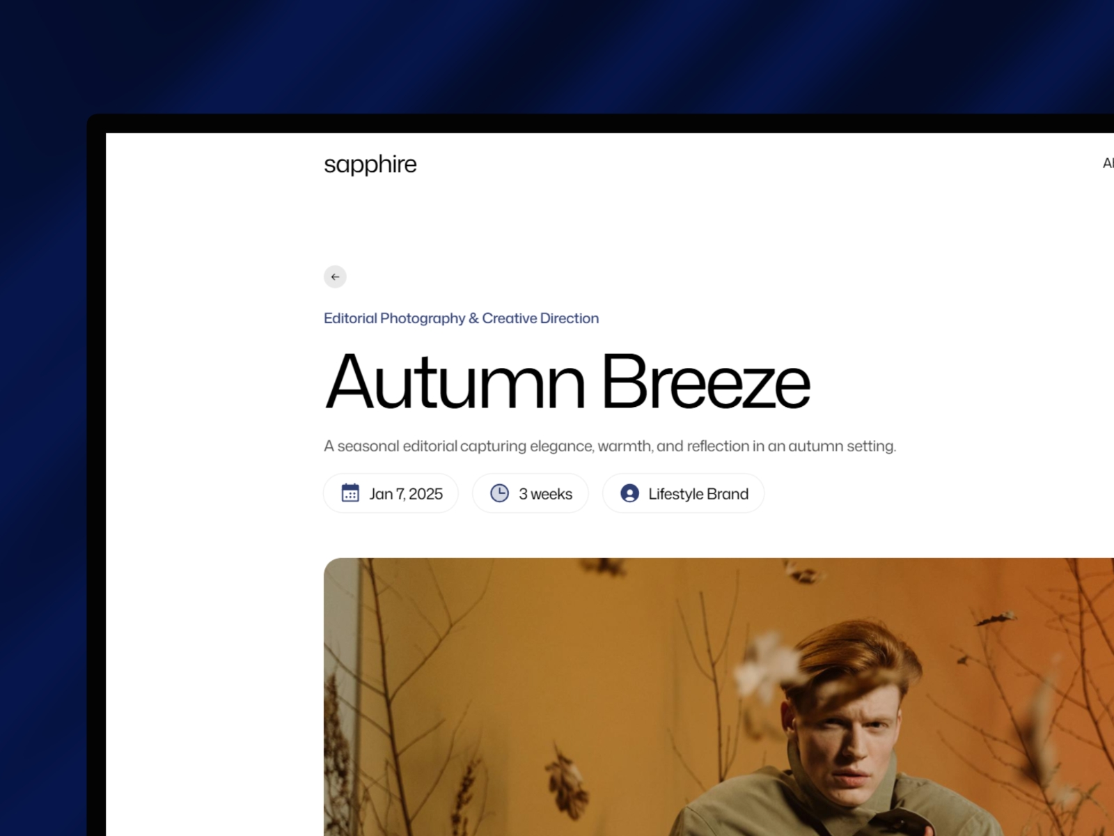Screenshot 2 of Sapphire