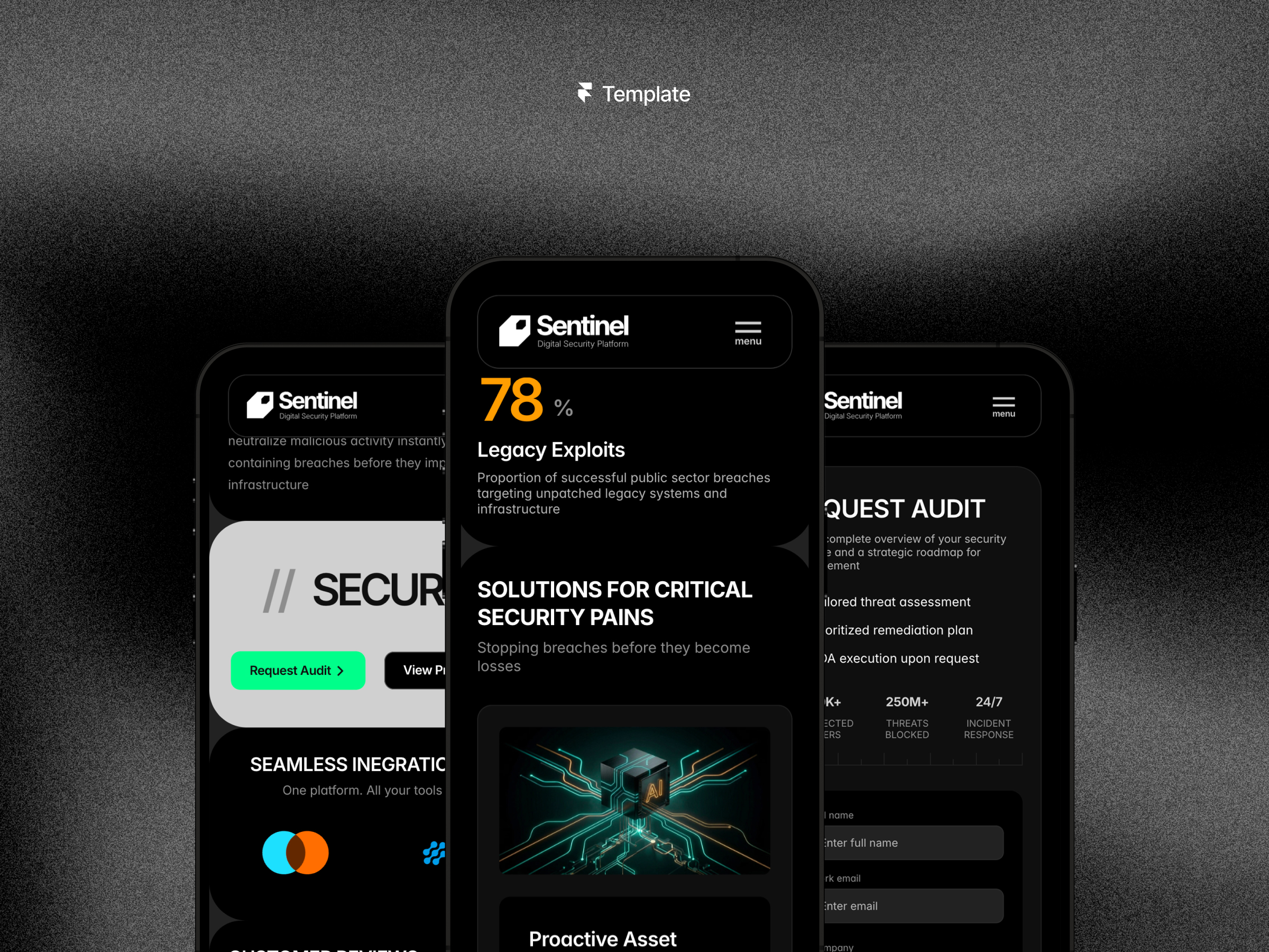 Screenshot 4 of Sentinel Pro