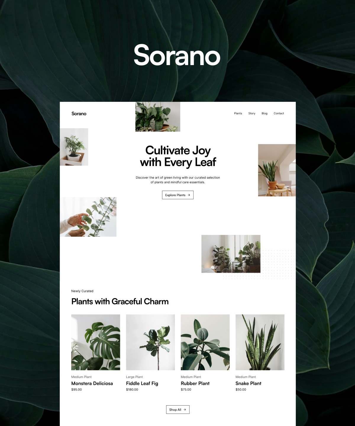 Screenshot 1 of Sorano