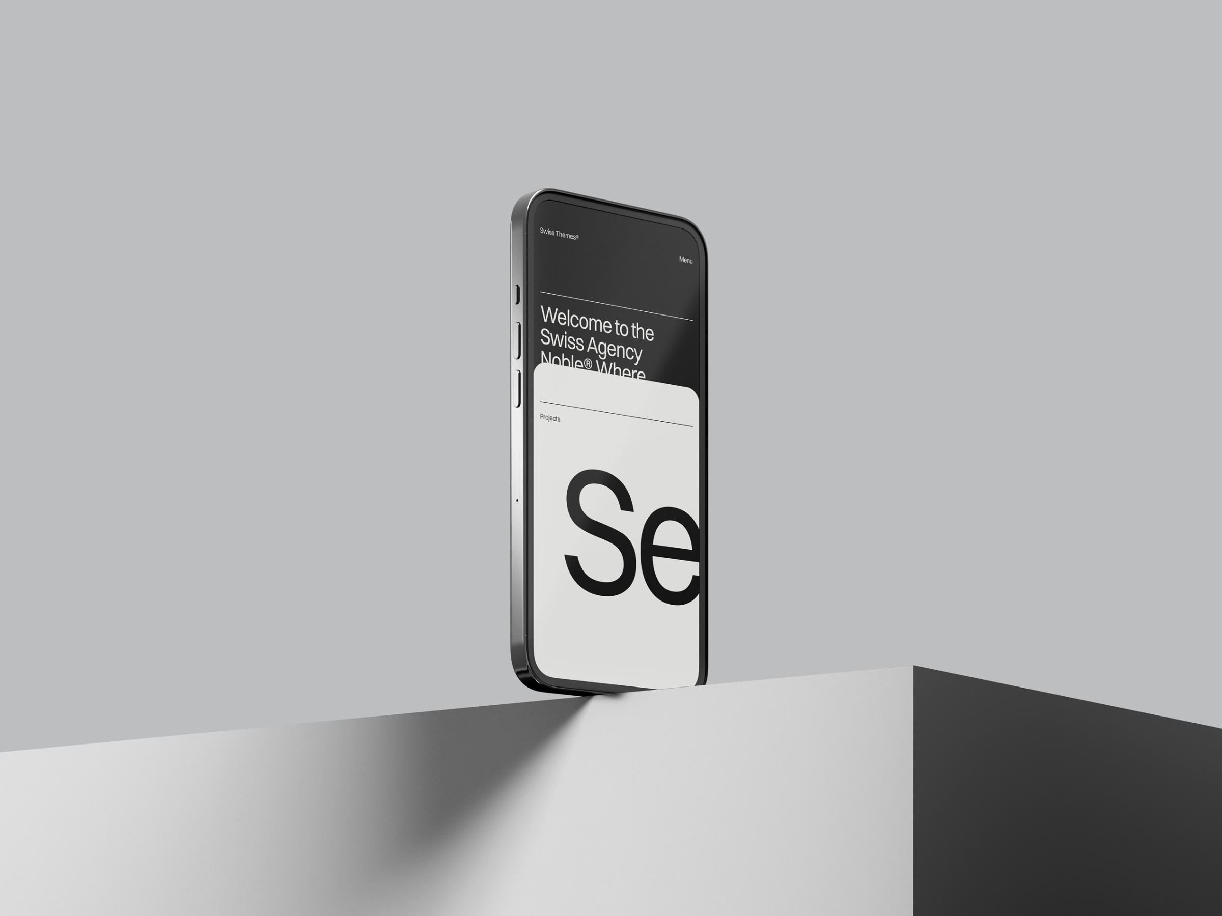 Screenshot 2 of SwissAgency