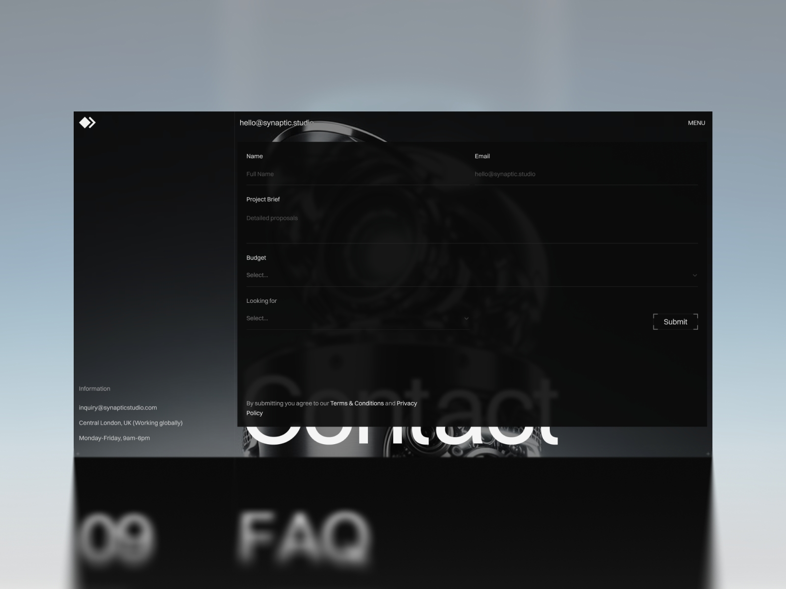 Screenshot 4 of SYNAPTIC