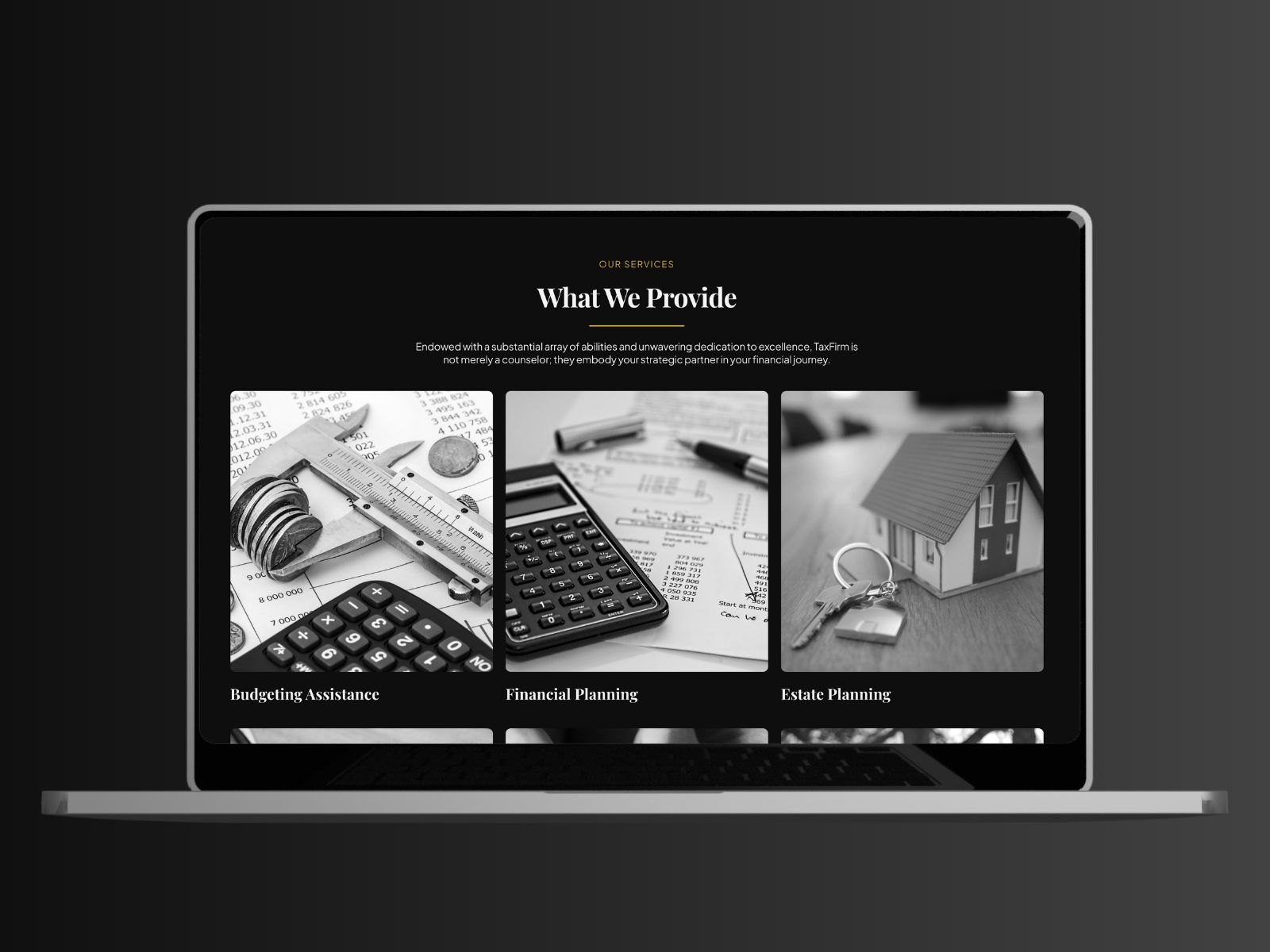 Screenshot 4 of TaxFirm
