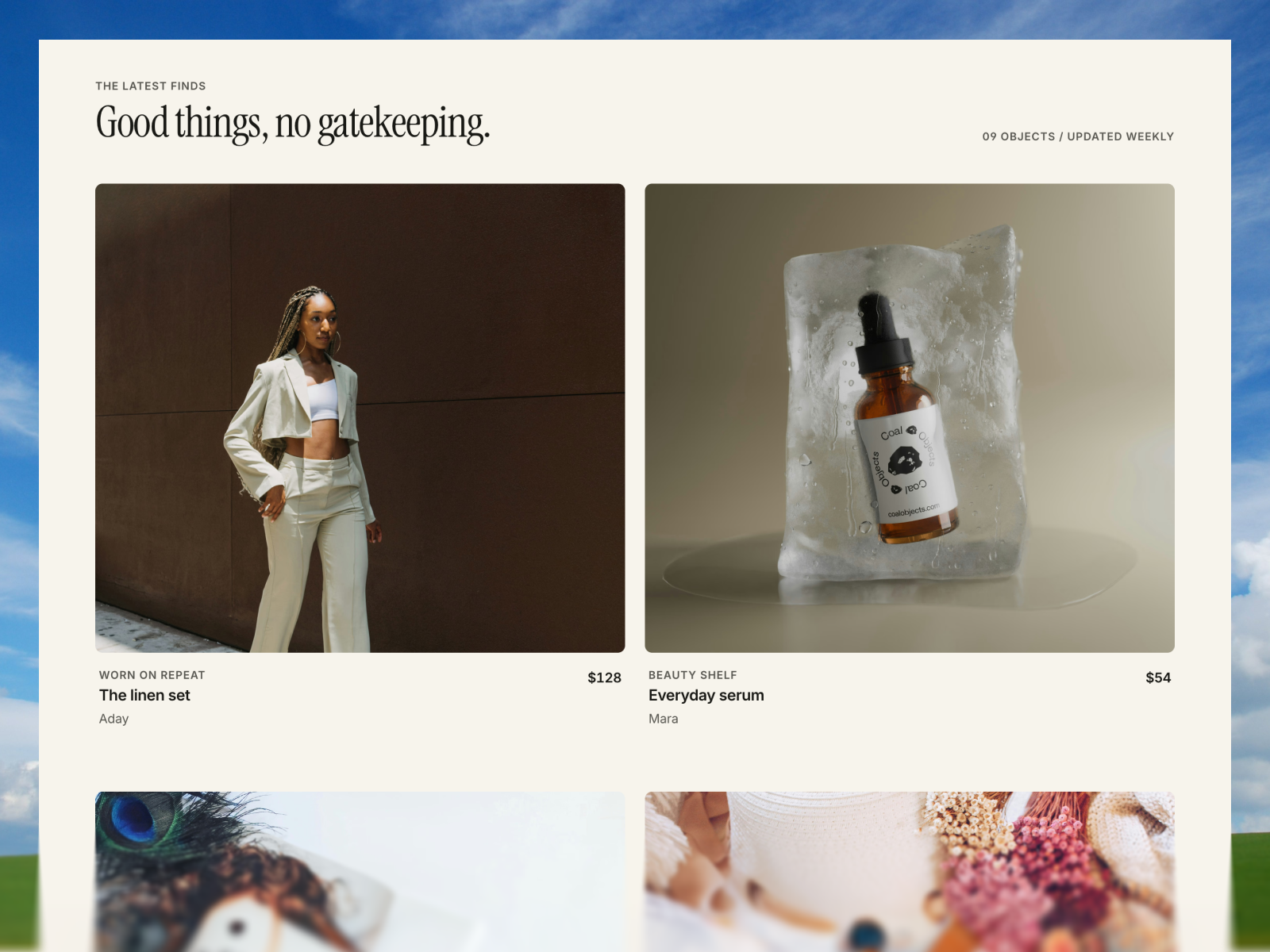 Screenshot 2 of The Collectionn
