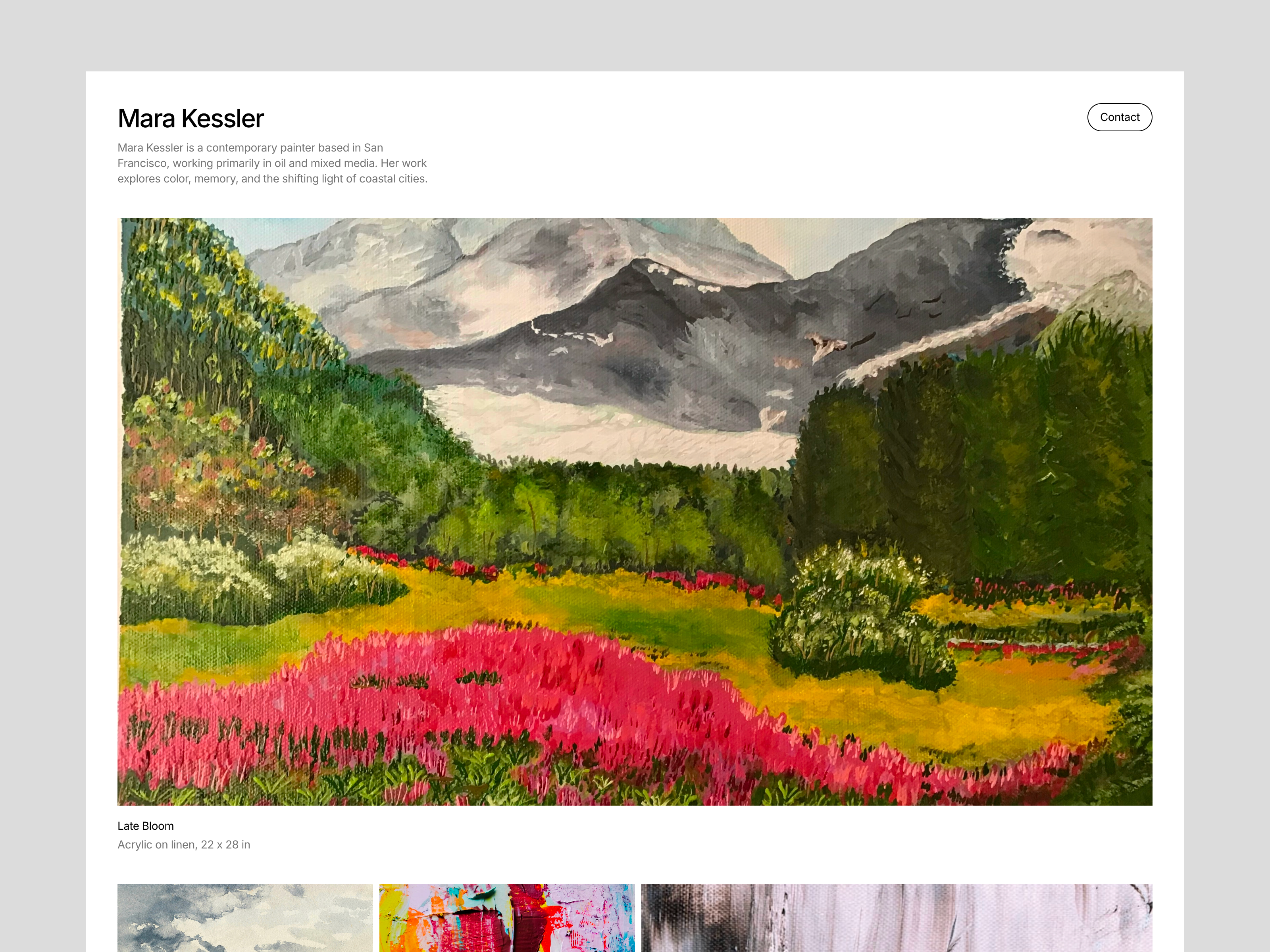 Screenshot 1 of TheArtist