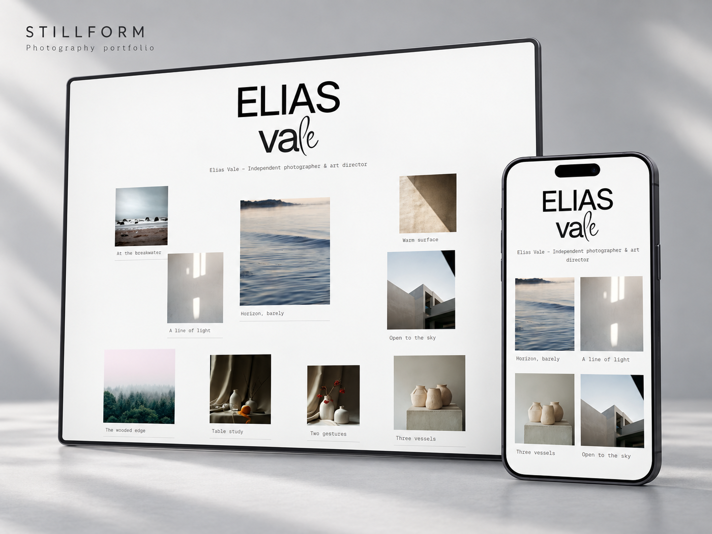 Screenshot 2 of Vale Studies