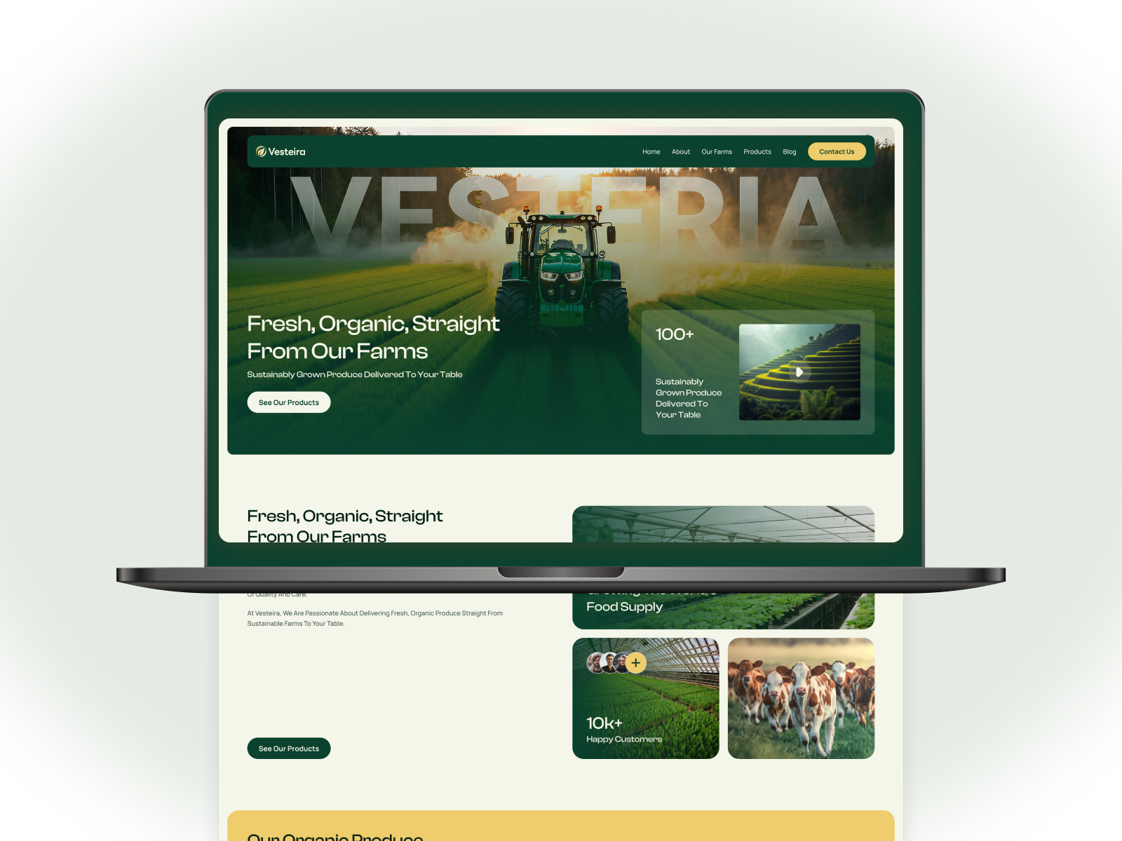 Screenshot 1 of Vesteira