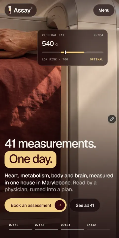 Mobile Screenshot