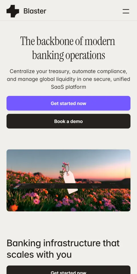 Mobile Screenshot