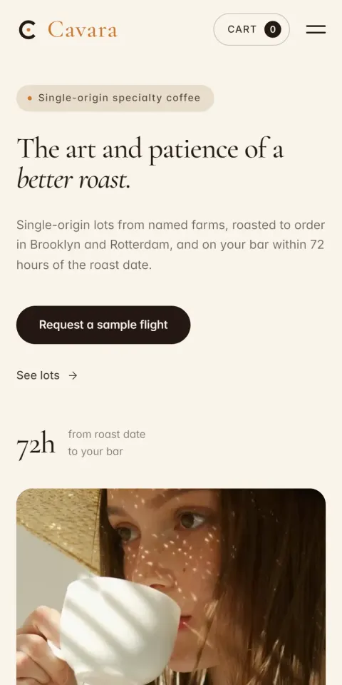 Mobile Screenshot