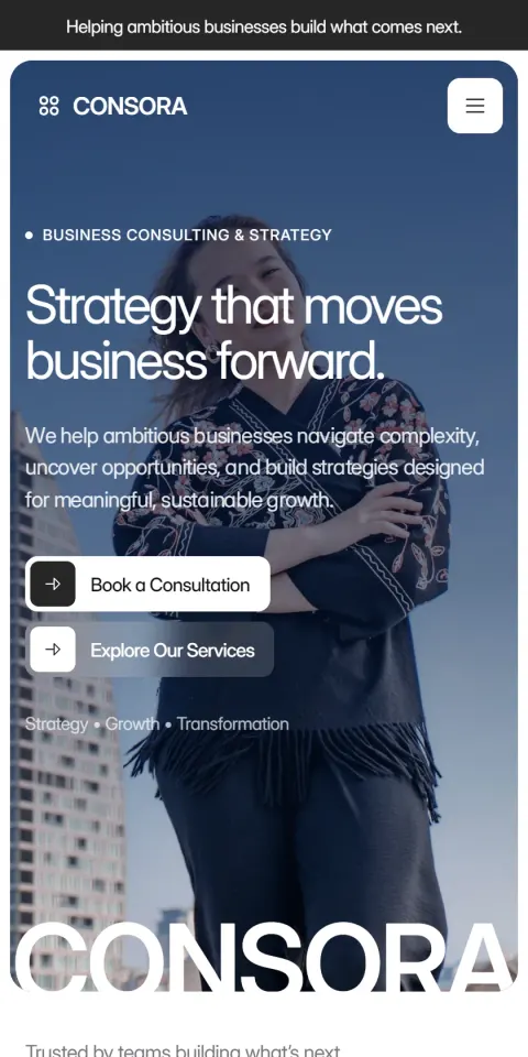 Mobile Screenshot