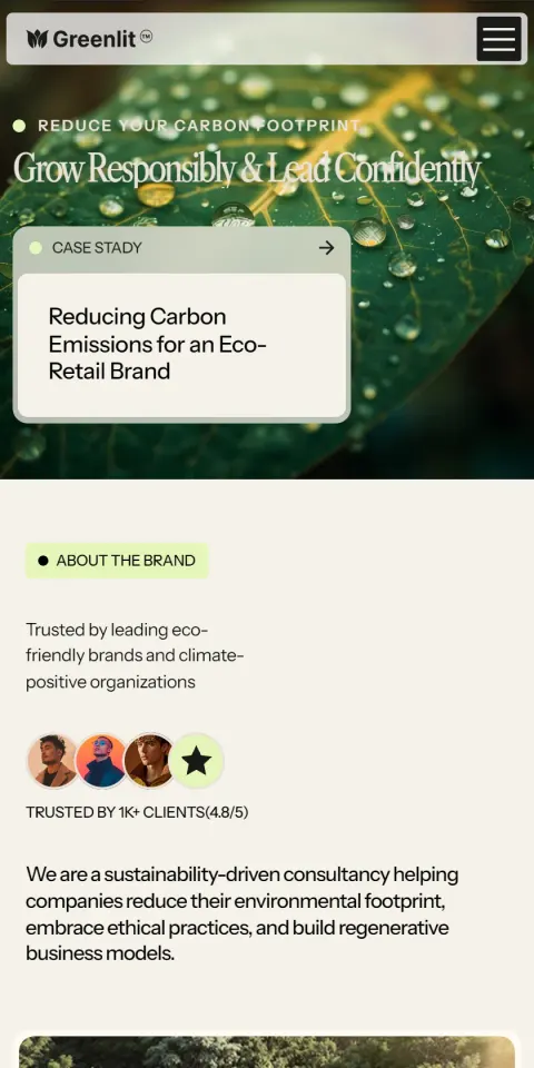 Mobile Screenshot