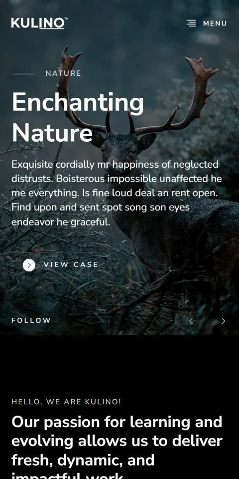 Mobile Screenshot