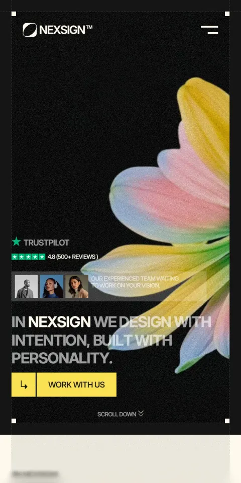 Mobile Screenshot