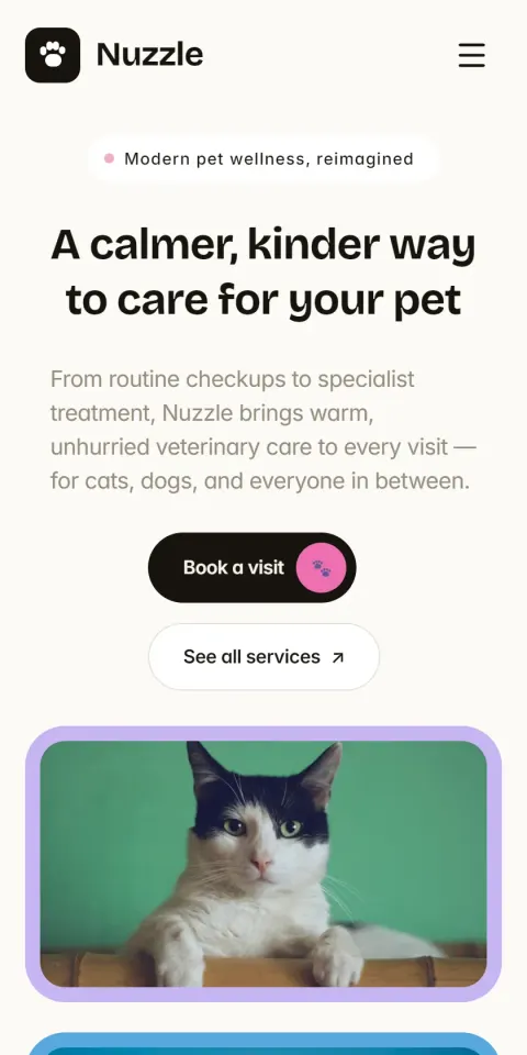 Mobile Screenshot