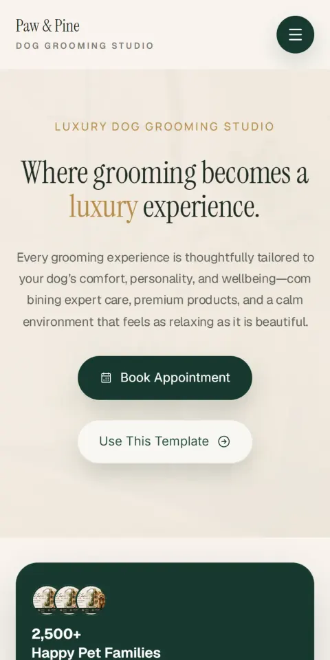 Mobile Screenshot