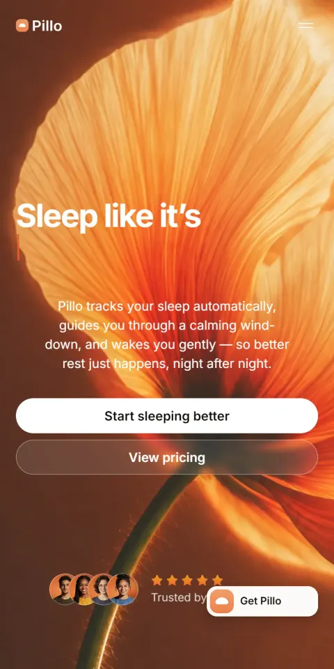Mobile Screenshot