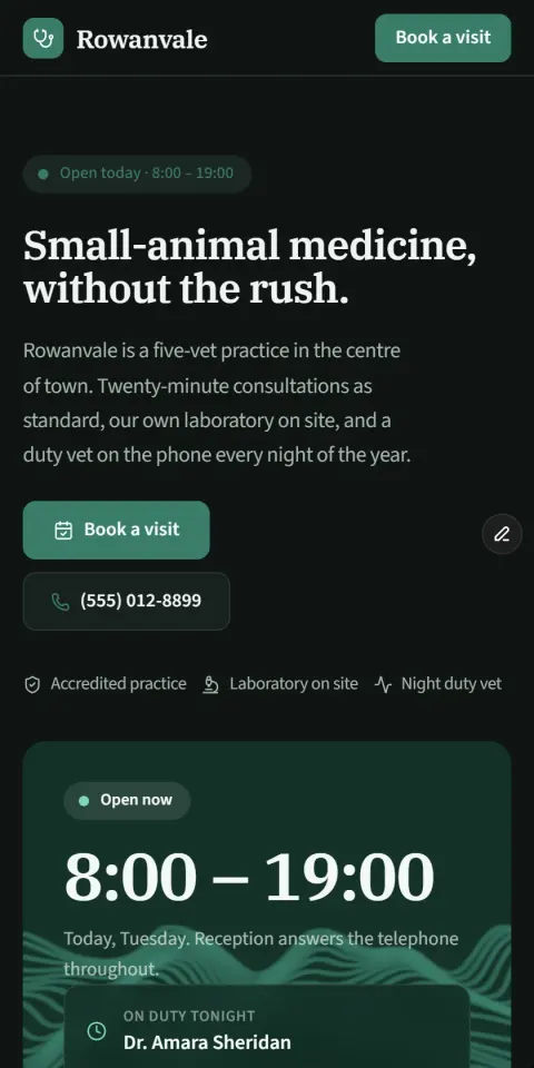 Mobile Screenshot