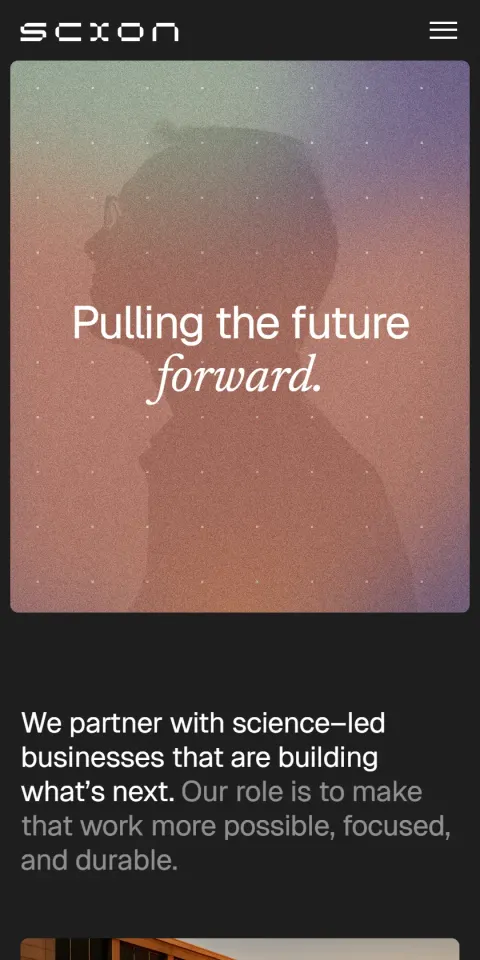 Mobile Screenshot