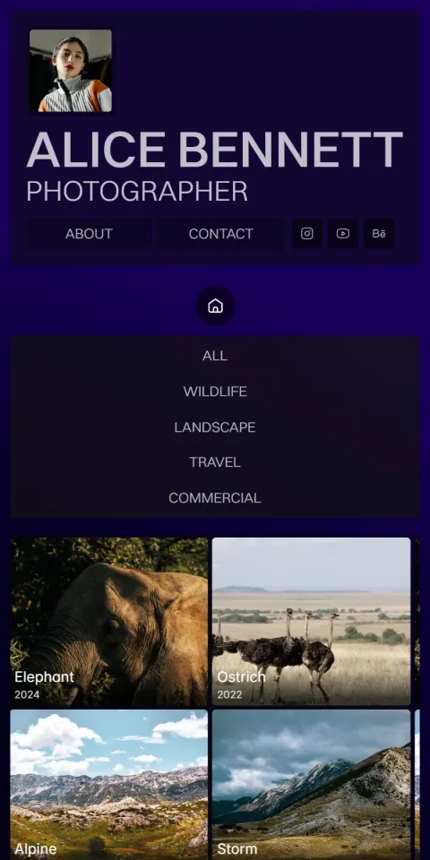 Mobile Screenshot