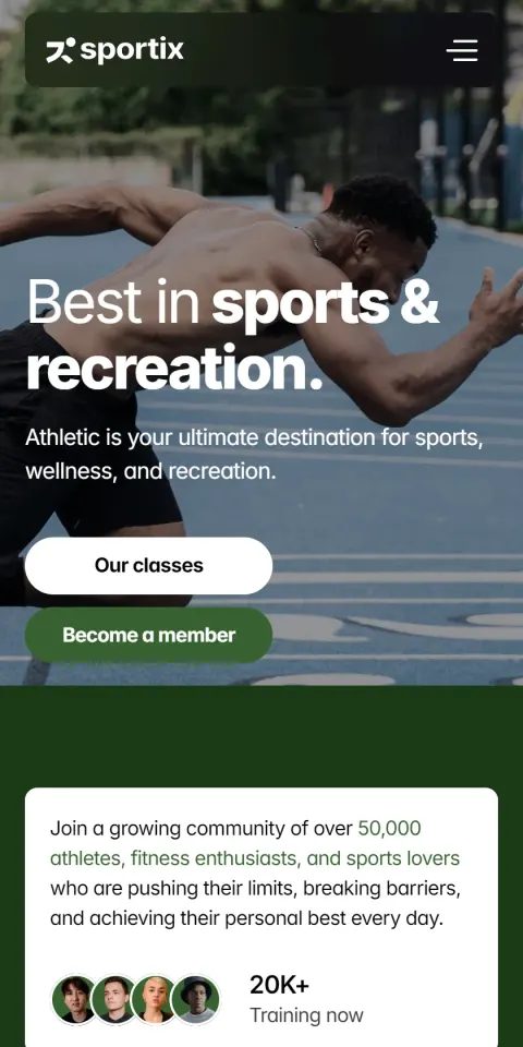 Mobile Screenshot