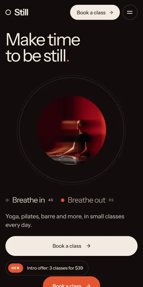 Mobile Screenshot