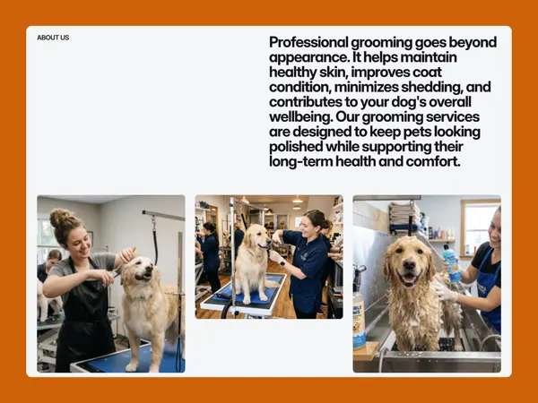 Screenshot 2 of Dog Groom
