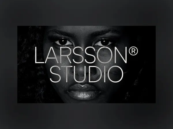 Screenshot 2 of Larsson