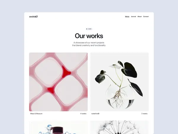 Screenshot 2 of Orchid