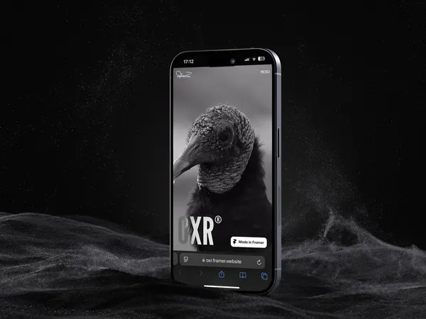 Screenshot 4 of OXR
