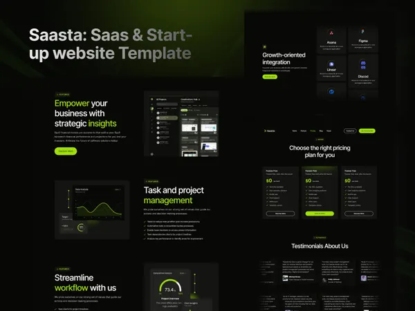 Screenshot 1 of Saata Website