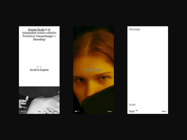 Screenshot 4 of Savage