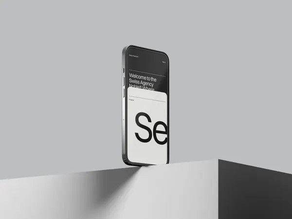 Screenshot 2 of SwissAgency