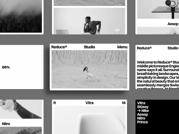 Screenshot 1 of SwissReduce