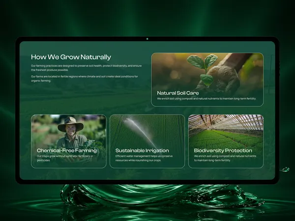 Screenshot 2 of Vesteira