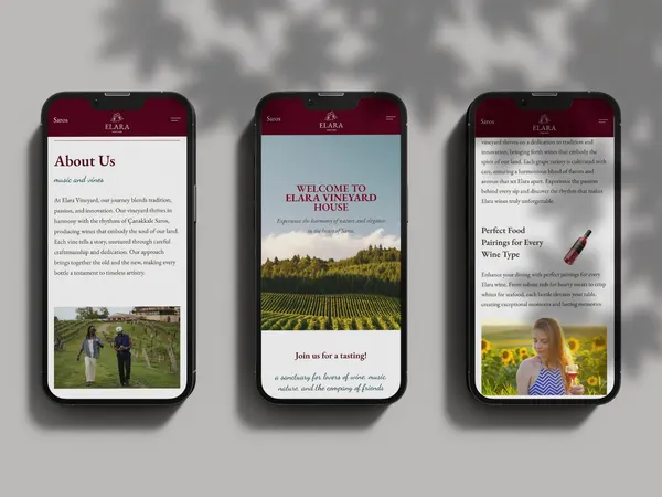 Screenshot 4 of Vineyard