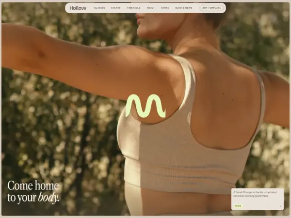 Hollow Wellness