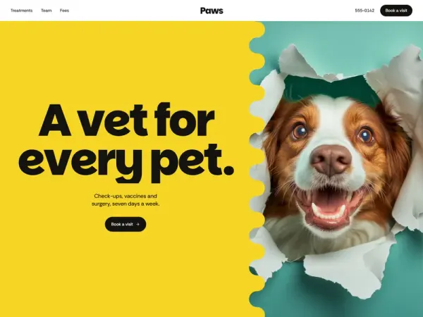Paws Clinic