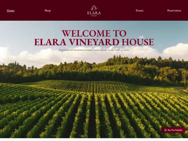 Vineyard