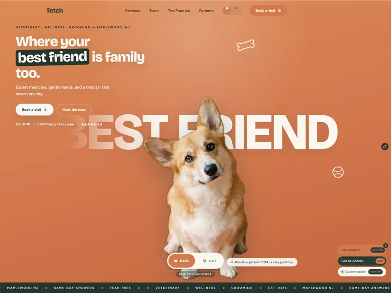 FETCH Vet Clinic