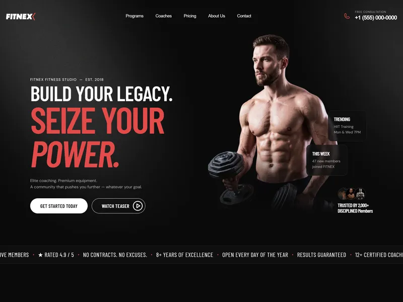 Fitnex Lite Gym