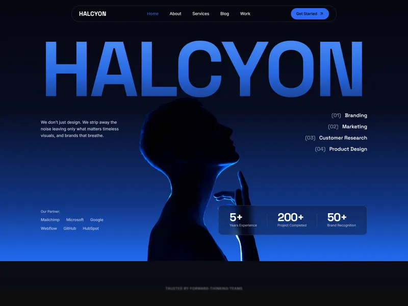 Halcyon X
