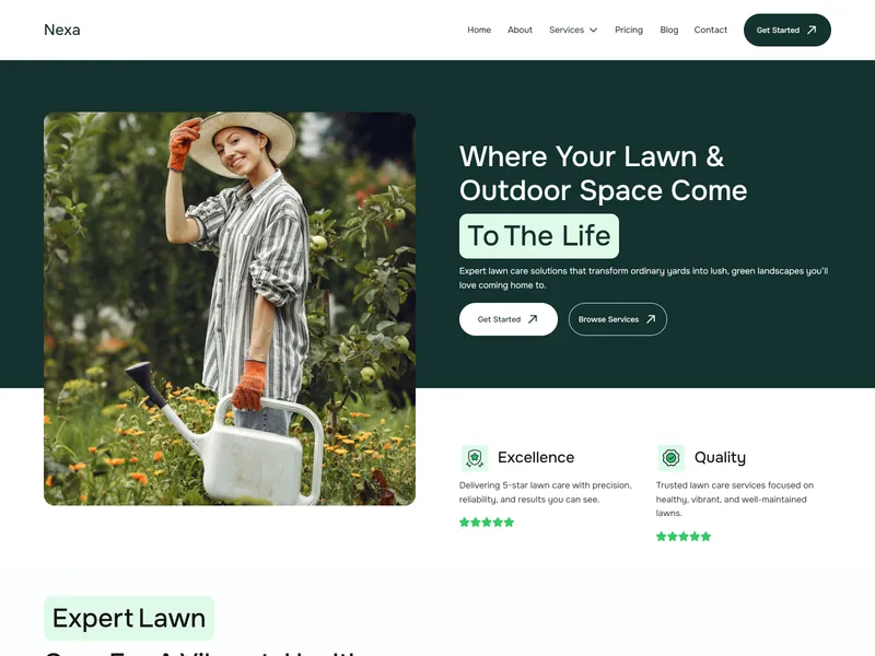 Nexa Lawn Care