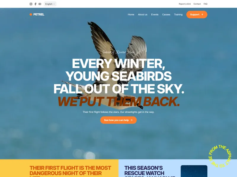 Petrel