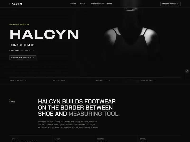 Running Shoe Page